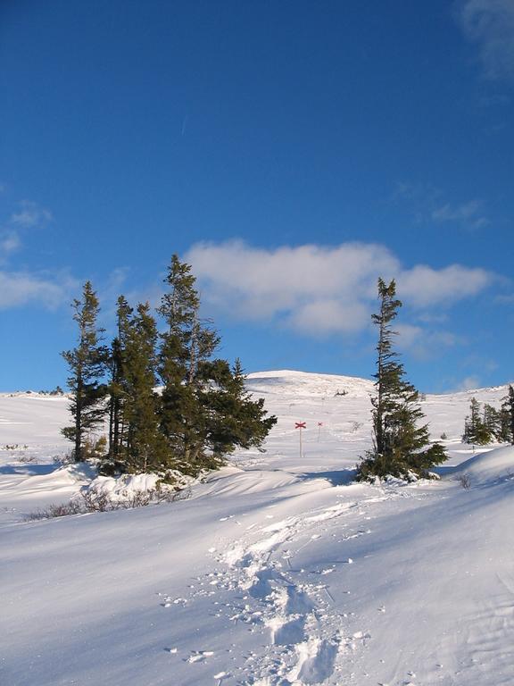 Valadalens Fjaellstation Hotel Bagian luar foto