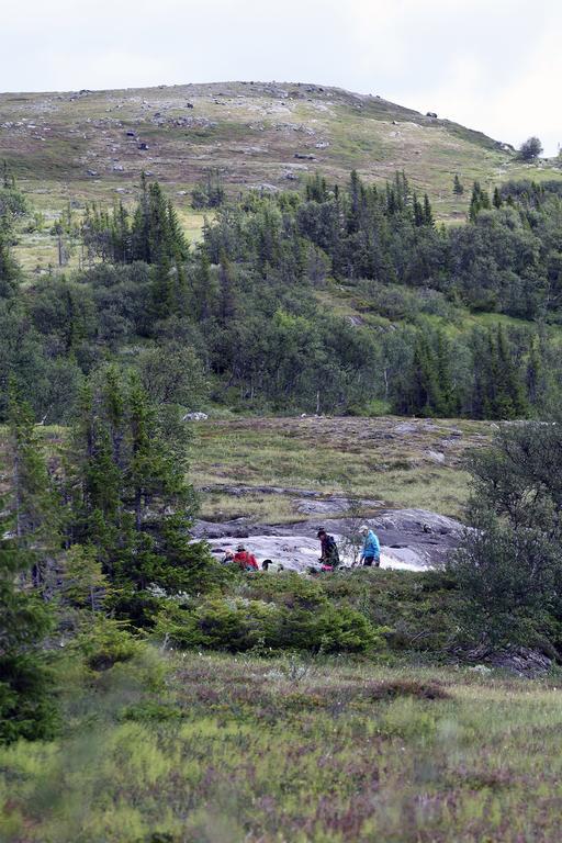 Valadalens Fjaellstation Hotel Bagian luar foto